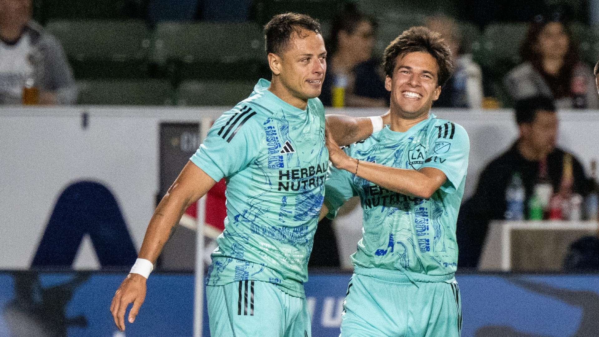 球迷支持 球迷支持